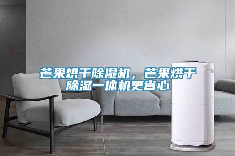 芒果烘干除濕機(jī)，芒果烘干除濕一體機(jī)更省心