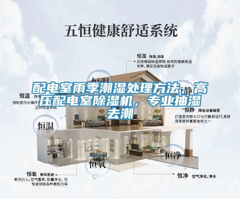 配電室雨季潮濕處理方法，高壓配電室除濕機，專業(yè)抽濕去潮