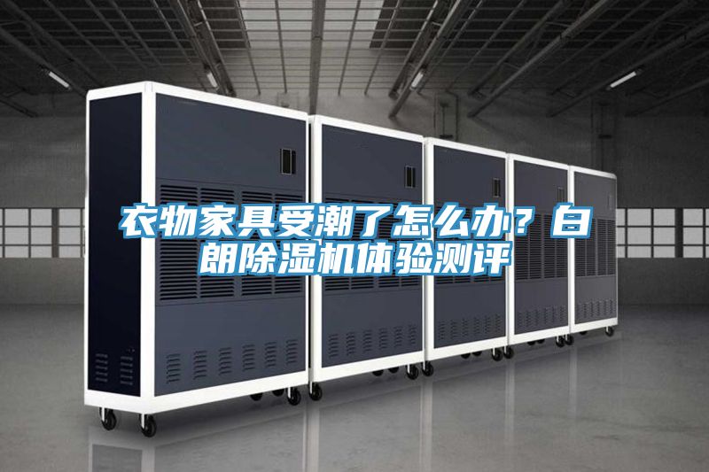 衣物家具受潮了怎么辦？白朗除濕機(jī)體驗(yàn)測(cè)評(píng)