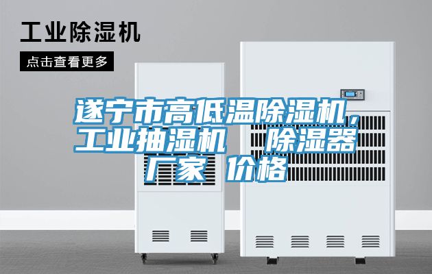 遂寧市高低溫除濕機(jī)，工業(yè)抽濕機(jī)  除濕器廠(chǎng)家 價(jià)格