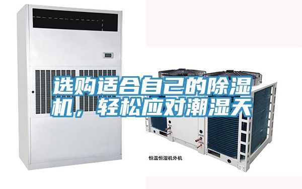 選購適合自己的除濕機(jī)，輕松應(yīng)對潮濕天