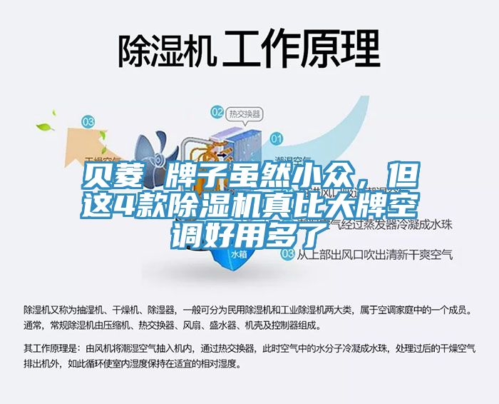 貝菱 牌子雖然小眾，但這4款除濕機真比大牌空調(diào)好用多了
