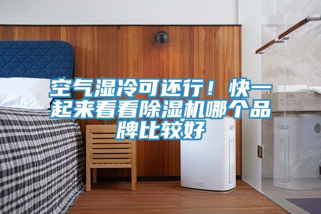 空氣濕冷可還行！快一起來看看除濕機(jī)哪個品牌比較好