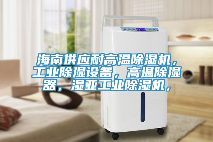 海南供應(yīng)耐高溫除濕機(jī)，工業(yè)除濕設(shè)備，高溫除濕器，濕亞工業(yè)除濕機(jī)，