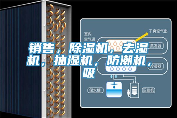 銷售，除濕機(jī)，去濕機(jī)，抽濕機(jī)，防潮機(jī)，吸