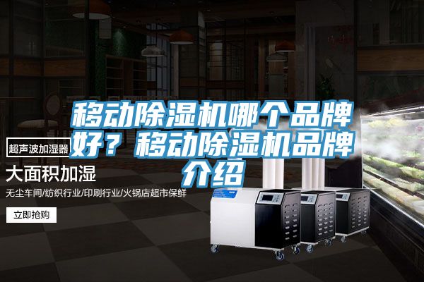 移動除濕機(jī)哪個品牌好？移動除濕機(jī)品牌介紹