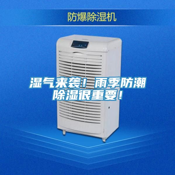 濕氣來襲！雨季防潮除濕很重要！