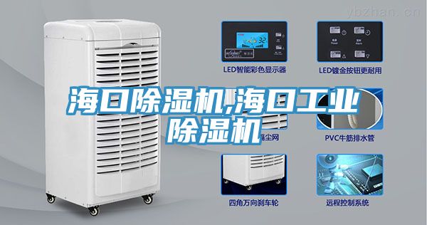 ?？诔凉駲C,海口工業(yè)除濕機