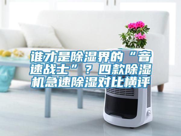 誰才是除濕界的“音速戰(zhàn)士”？四款除濕機急速除濕對比橫評