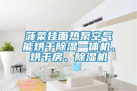 菠菜掛面熱泵空氣能烘干除濕一體機、烘干房、除濕機