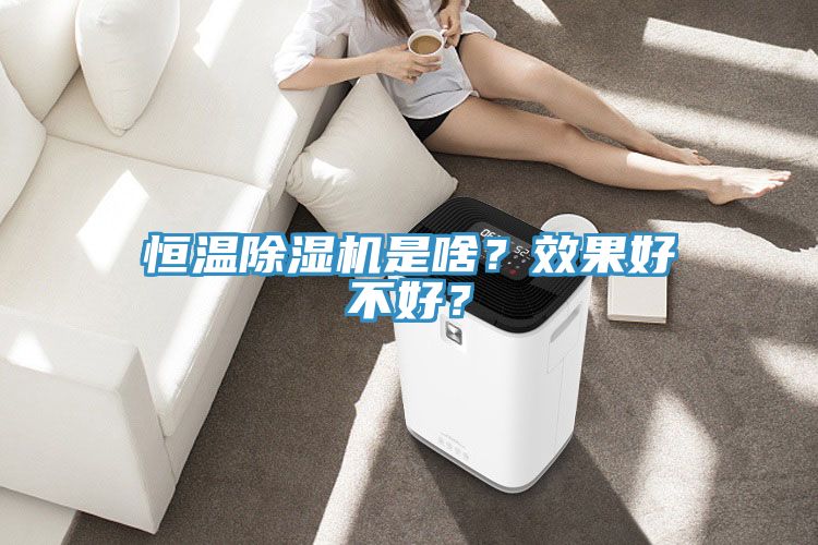 恒溫除濕機是啥？效果好不好？