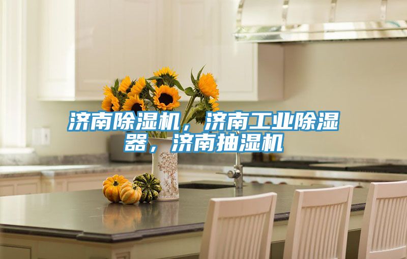 濟(jì)南除濕機(jī)，濟(jì)南工業(yè)除濕器，濟(jì)南抽濕機(jī)