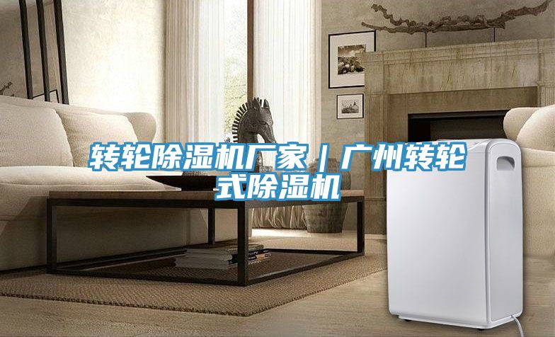 轉(zhuǎn)輪除濕機(jī)廠(chǎng)家｜廣州轉(zhuǎn)輪式除濕機(jī)