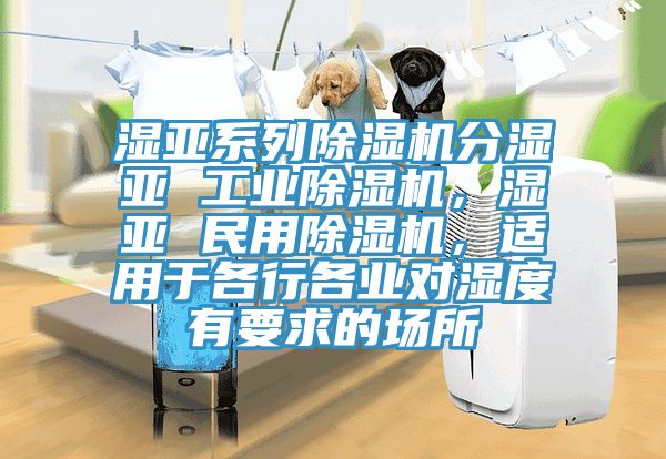 濕亞系列除濕機(jī)分濕亞 工業(yè)除濕機(jī)，濕亞 民用除濕機(jī)，適用于各行各業(yè)對(duì)濕度有要求的場(chǎng)所