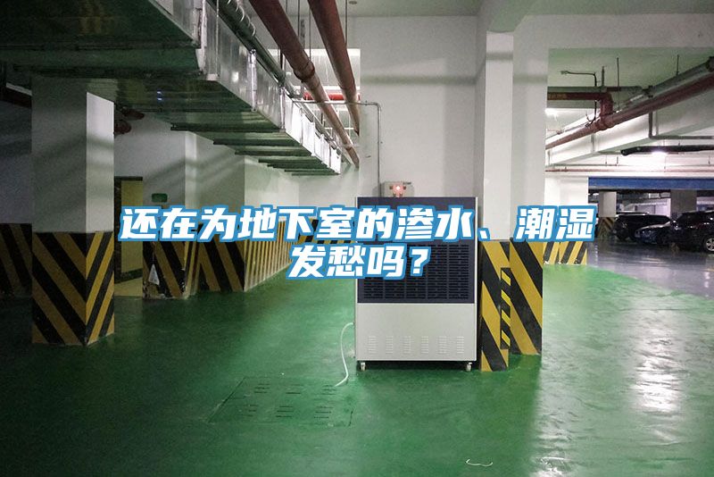 還在為地下室的滲水、潮濕發(fā)愁嗎？