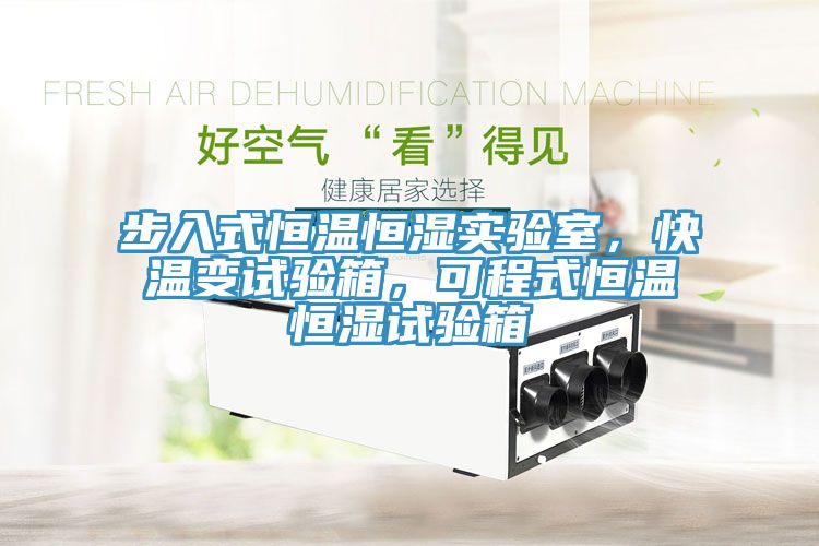 步入式恒溫恒濕實(shí)驗(yàn)室，快溫變試驗(yàn)箱，可程式恒溫恒濕試驗(yàn)箱