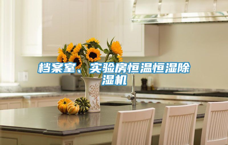 檔案室、實驗房恒溫恒濕除濕機