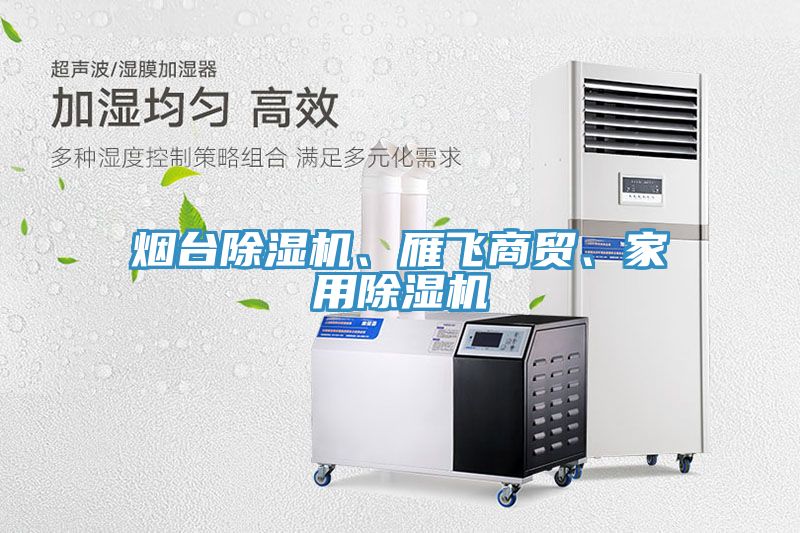 煙臺(tái)除濕機(jī)、雁飛商貿(mào)、家用除濕機(jī)