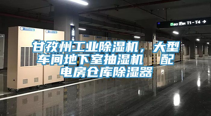 甘孜州工業(yè)除濕機(jī)，大型車(chē)間地下室抽濕機(jī)  配電房倉(cāng)庫(kù)除濕器