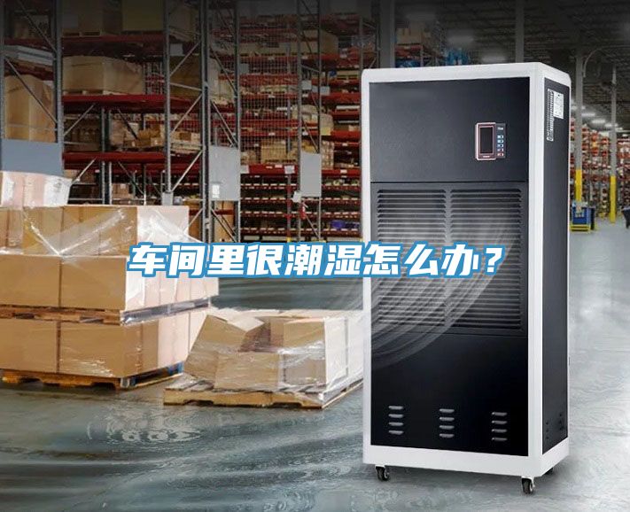 車間里很潮濕怎么辦？