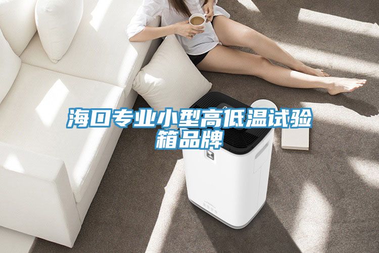 ?？趯I(yè)小型高低溫試驗(yàn)箱品牌