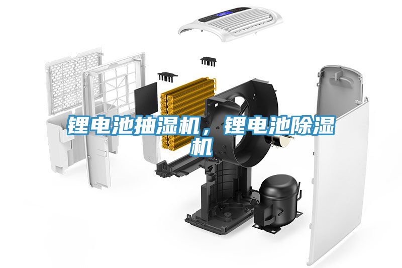 鋰電池抽濕機(jī)，鋰電池除濕機(jī)