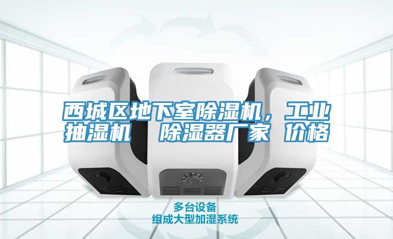 西城區(qū)地下室除濕機(jī)，工業(yè)抽濕機(jī)  除濕器廠家 價(jià)格