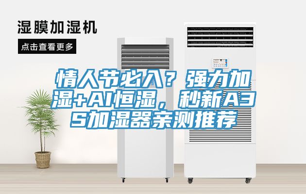 情人節(jié)必入？強力加濕+AI恒濕，秒新A3S加濕器親測推薦
