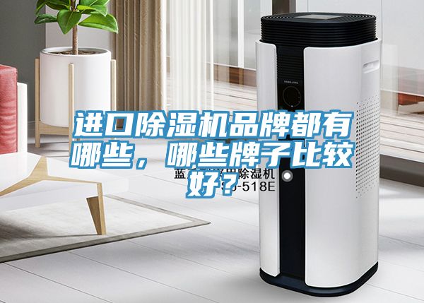 進口除濕機品牌都有哪些，哪些牌子比較好？