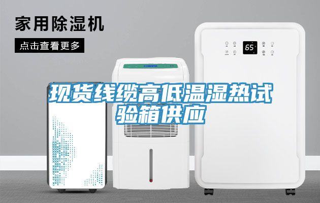 現(xiàn)貨線(xiàn)纜高低溫濕熱試驗(yàn)箱供應(yīng)
