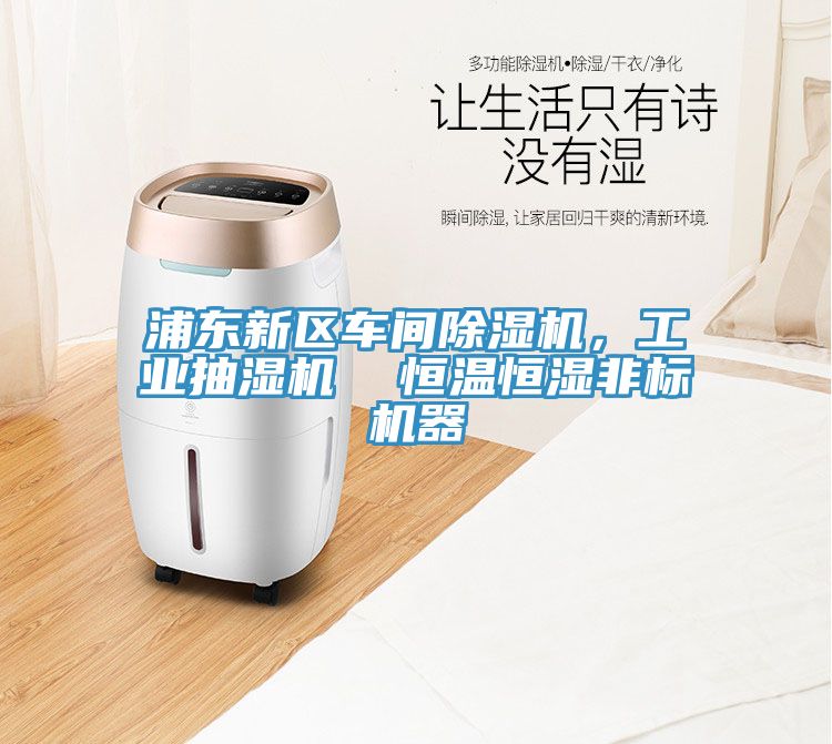 浦東新區(qū)車間除濕機(jī)，工業(yè)抽濕機(jī)  恒溫恒濕非標(biāo)機(jī)器