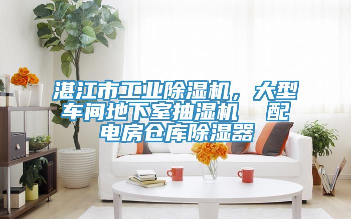 湛江市工業(yè)除濕機(jī)，大型車間地下室抽濕機(jī)  配電房倉(cāng)庫(kù)除濕器