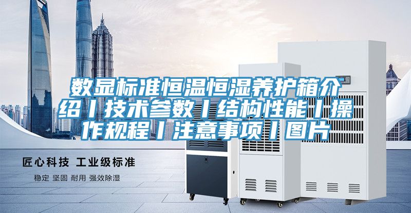 數(shù)顯標(biāo)準(zhǔn)恒溫恒濕養(yǎng)護(hù)箱介紹丨技術(shù)參數(shù)丨結(jié)構(gòu)性能丨操作規(guī)程丨注意事項丨圖片