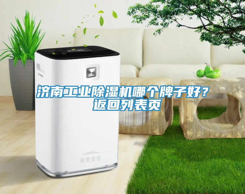 濟(jì)南工業(yè)除濕機(jī)哪個(gè)牌子好？ 返回列表頁