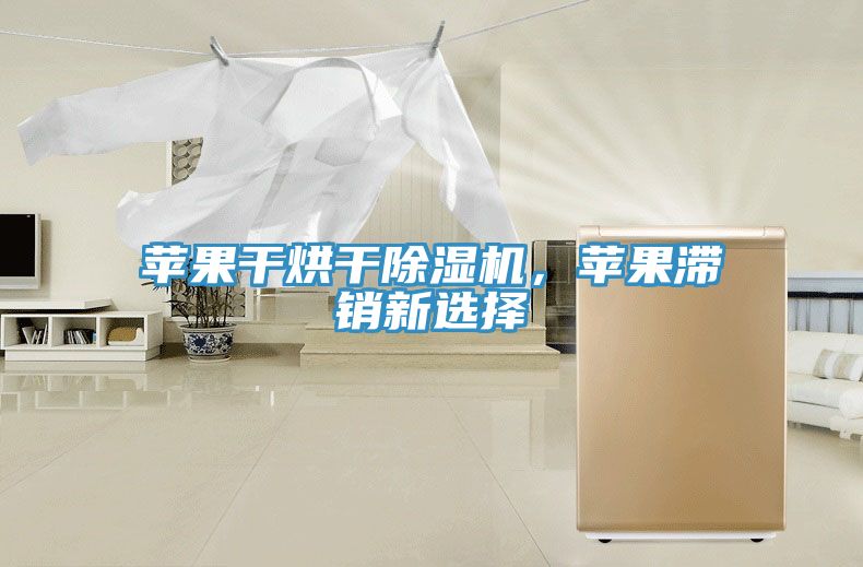 蘋果干烘干除濕機(jī)，蘋果滯銷新選擇