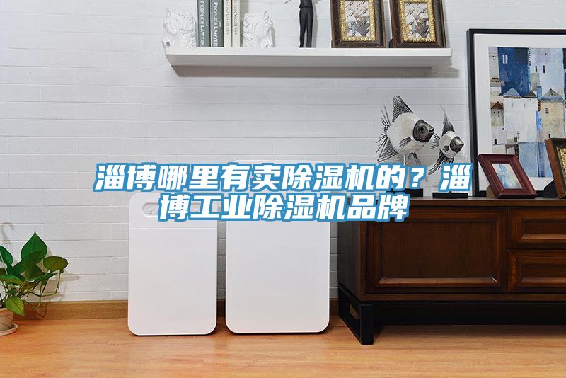 淄博哪里有賣除濕機的？淄博工業(yè)除濕機品牌