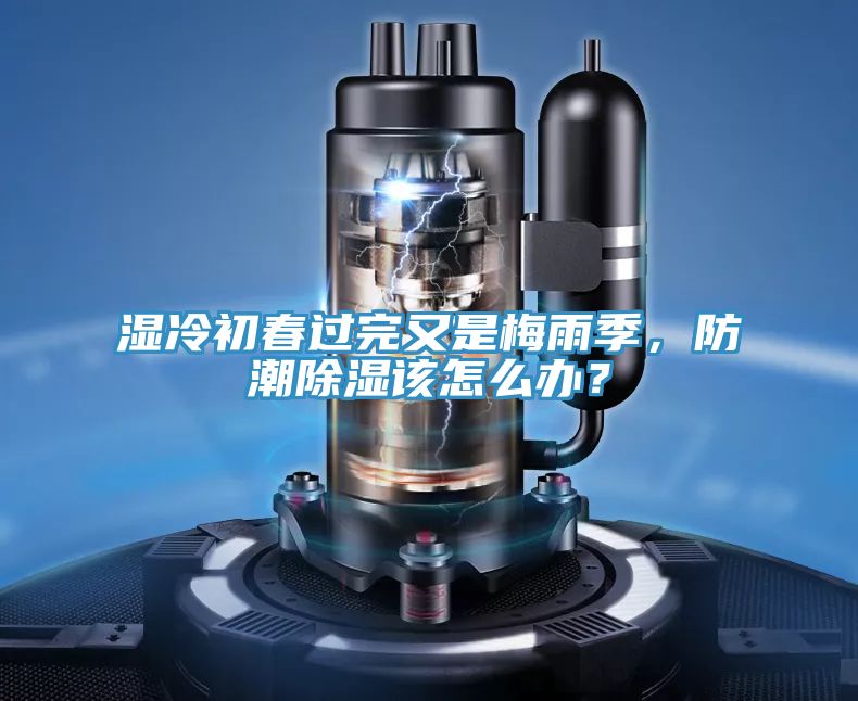 濕冷初春過(guò)完又是梅雨季，防潮除濕該怎么辦？