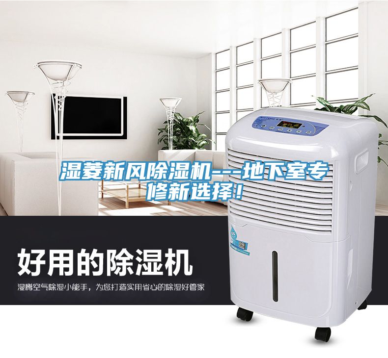 濕菱新風(fēng)除濕機---地下室專修新選擇！