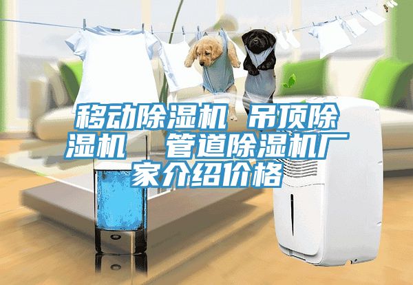 移動除濕機(jī) 吊頂除濕機(jī)  管道除濕機(jī)廠家介紹價格
