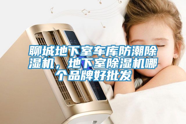 聊城地下室車庫防潮除濕機，地下室除濕機哪個品牌好批發(fā)