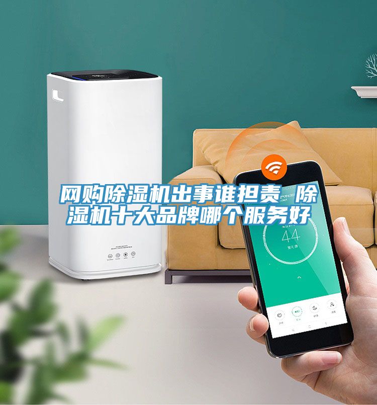 網(wǎng)購除濕機出事誰擔責 除濕機十大品牌哪個服務好