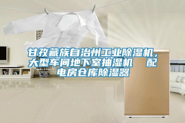 甘孜藏族自治州工業(yè)除濕機(jī)，大型車(chē)間地下室抽濕機(jī)  配電房倉(cāng)庫(kù)除濕器