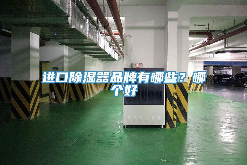 進(jìn)口除濕器品牌有哪些？哪個(gè)好