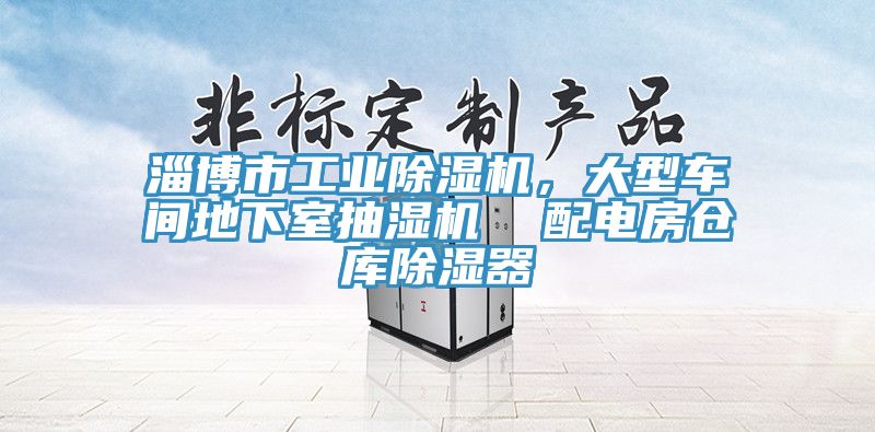 淄博市工業(yè)除濕機(jī)，大型車間地下室抽濕機(jī)  配電房倉庫除濕器