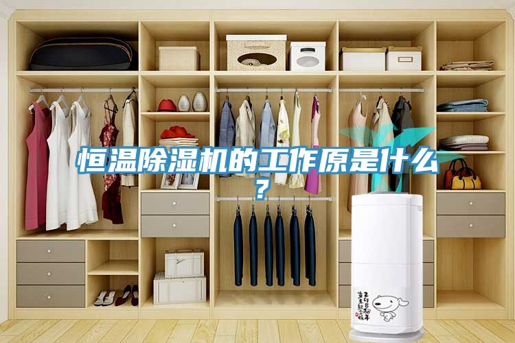 恒溫除濕機的工作原是什么？