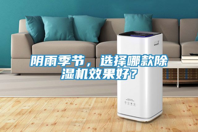陰雨季節(jié)，選擇哪款除濕機(jī)效果好？