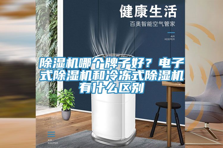 除濕機哪個牌子好？電子式除濕機和冷凍式除濕機有什么區(qū)別