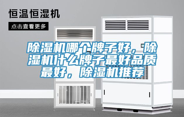 除濕機(jī)哪個(gè)牌子好，除濕機(jī)什么牌子最好品質(zhì)最好，除濕機(jī)推薦