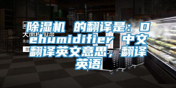 除濕機(jī) 的翻譯是：Dehumidifier 中文翻譯英文意思，翻譯英語