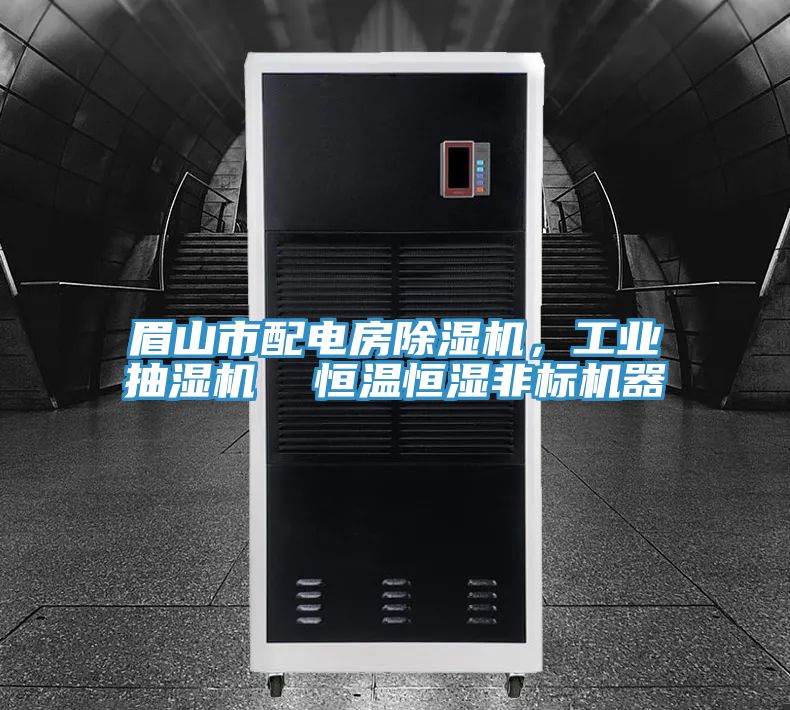 眉山市配電房除濕機(jī)，工業(yè)抽濕機(jī)  恒溫恒濕非標(biāo)機(jī)器